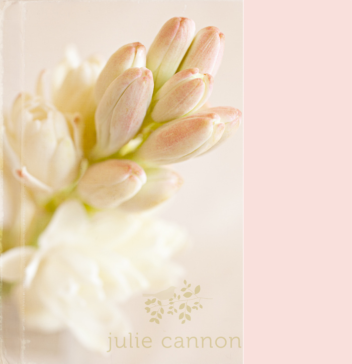 tuberose